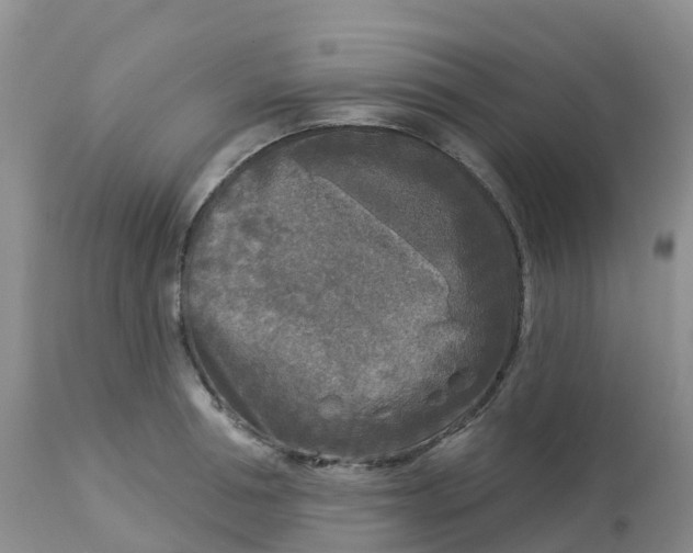 X0000113100994200909111047