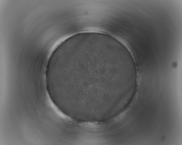 X0000113100995200909111047