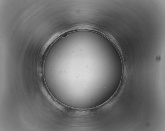 X0000113100997200909111047