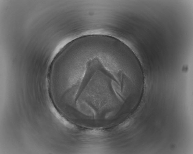X0000113100998200909111047