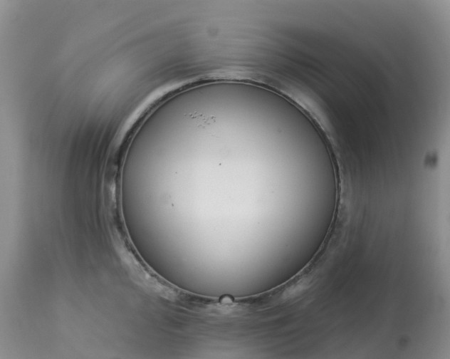 X0000113101000200909111047