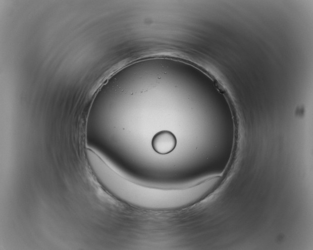 X0000113101001200909111047