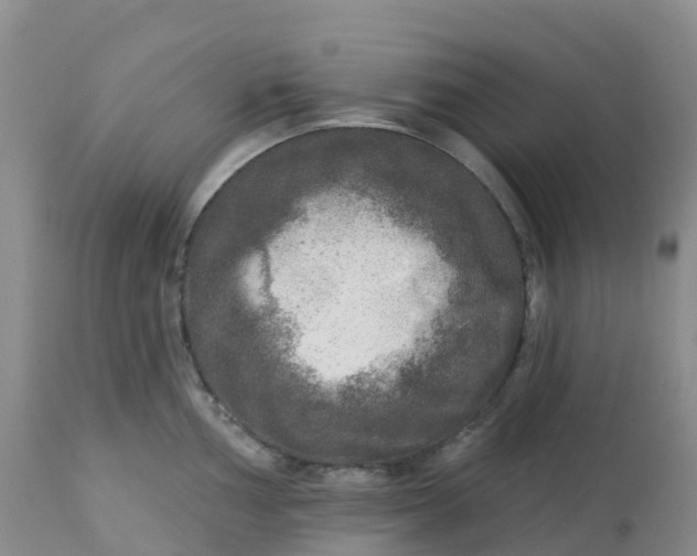X0000113101002200909111047