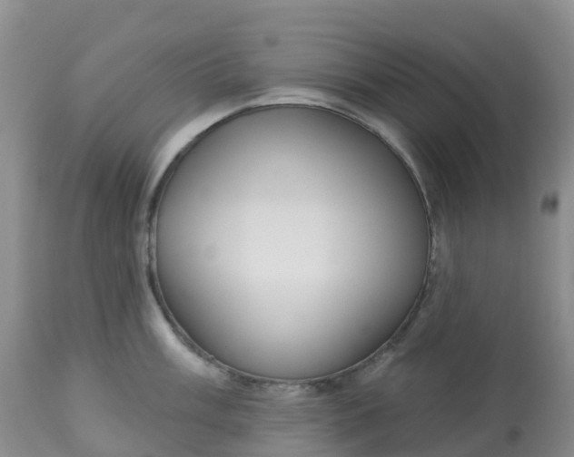 X0000113101003200909111047