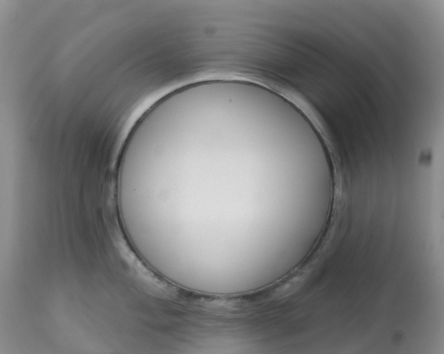 X0000113101004200909111047