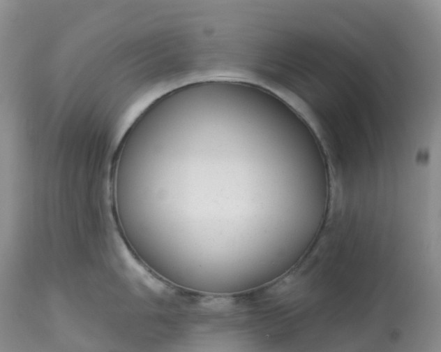 X0000113101006200909111047