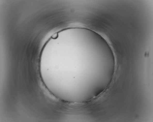 X0000113101008200909111047