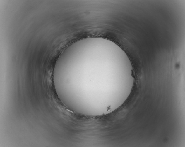 X0000113101010200909111046
