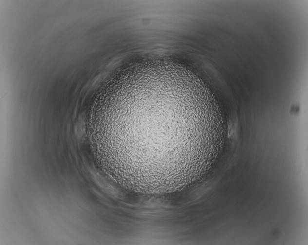 X0000113101011200909111046