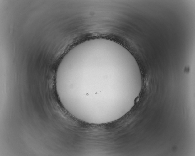 X0000113101012200909111046