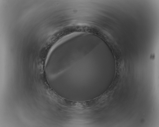 X0000113101013200909111046