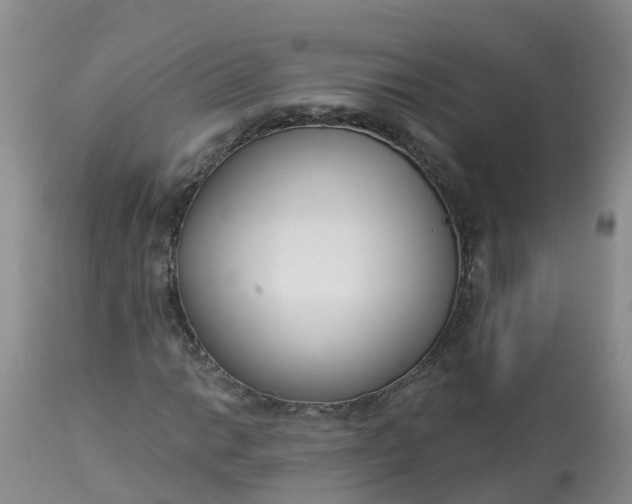 X0000113101014200909111046