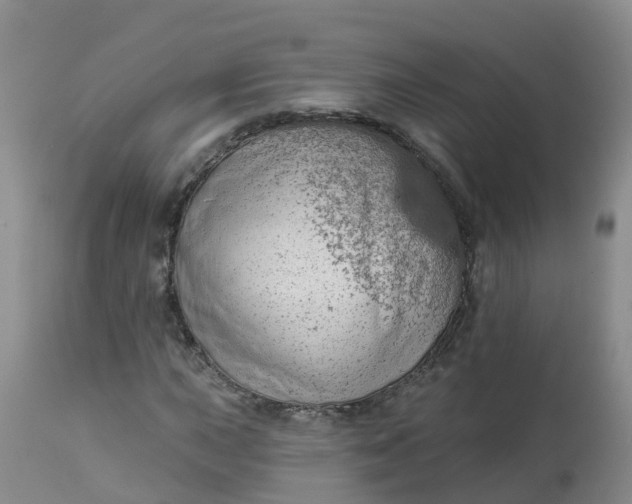 X0000113101015200909111046