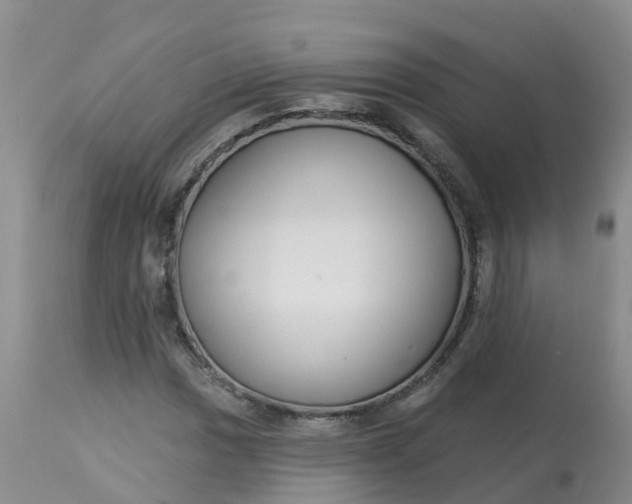 X0000113101017200909111046