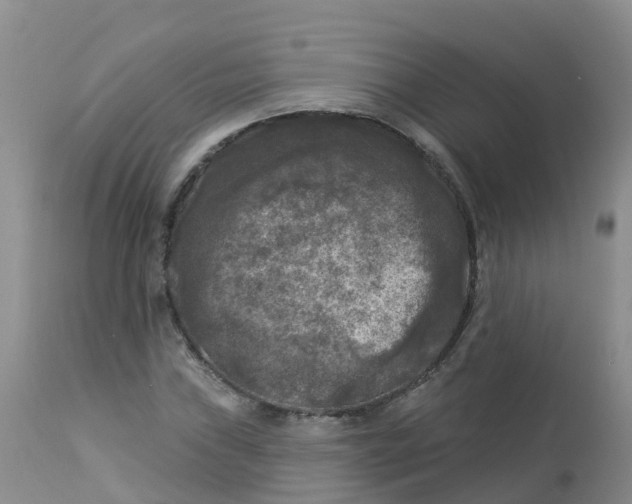 X0000113101019200909111046