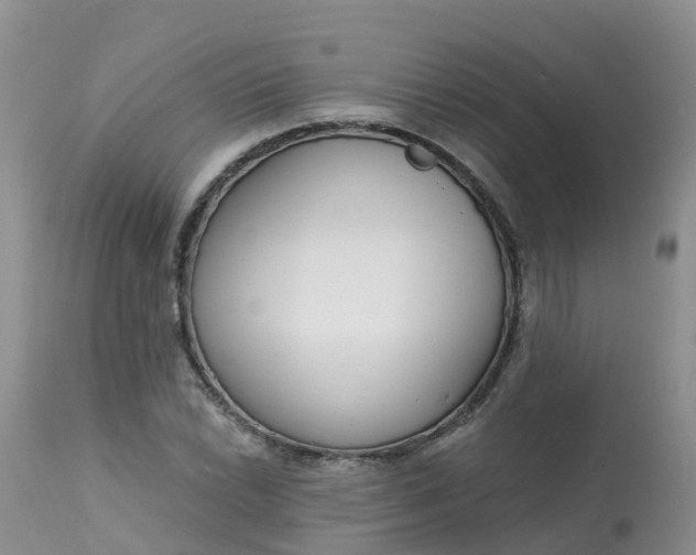 X0000113101022200909111046