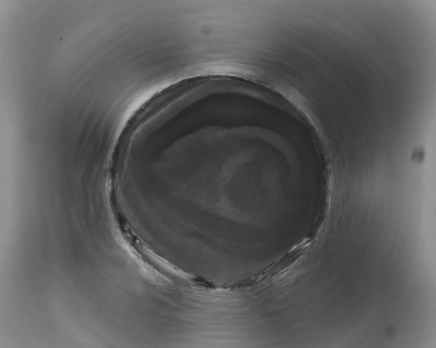 X0000113101024200909111046