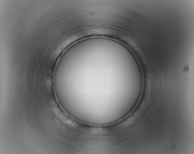 X0000113101025200909111046