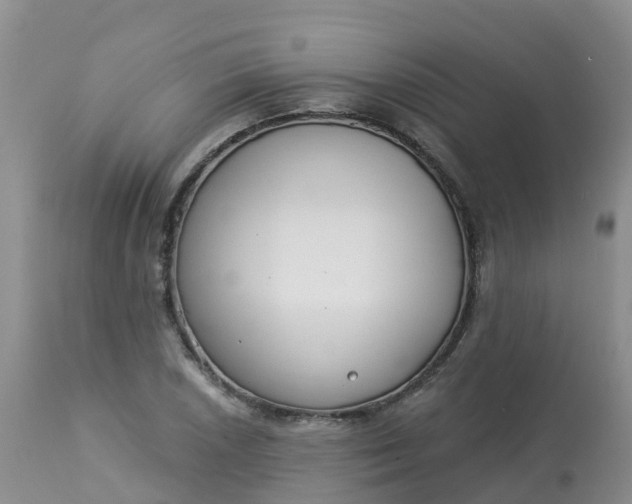 X0000113101026200909111046
