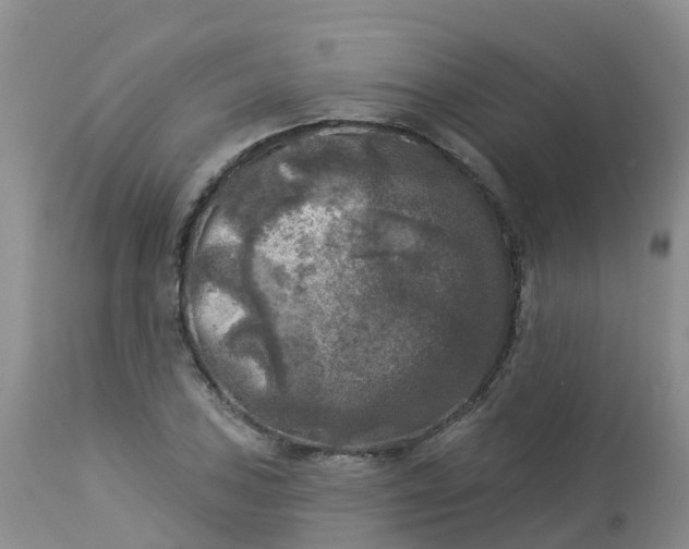 X0000113101027200909111046