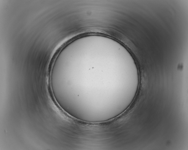 X0000113101028200909111046