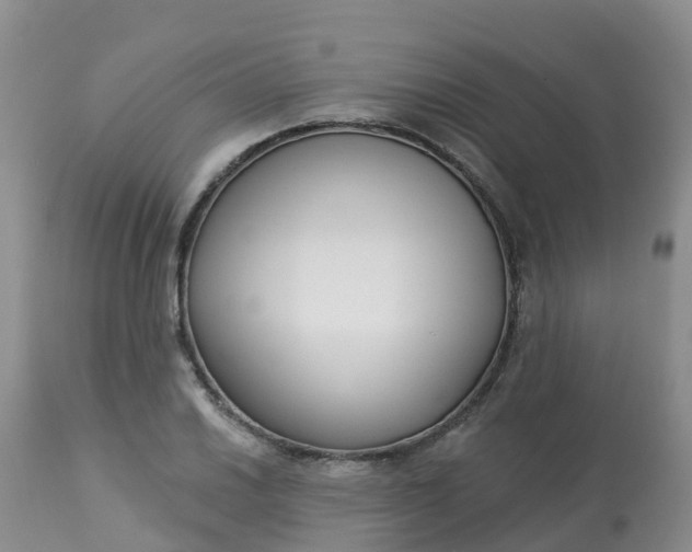 X0000113101030200909111046