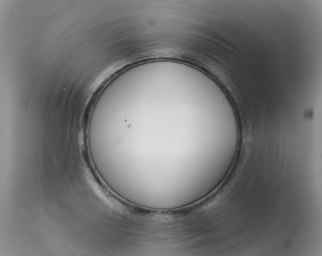 X0000113101034200909111046