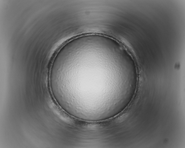 X0000113101035200909111046