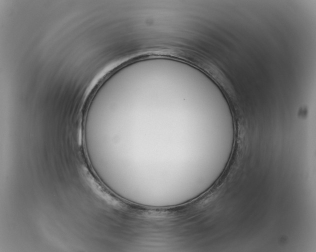 X0000113101036200909111047