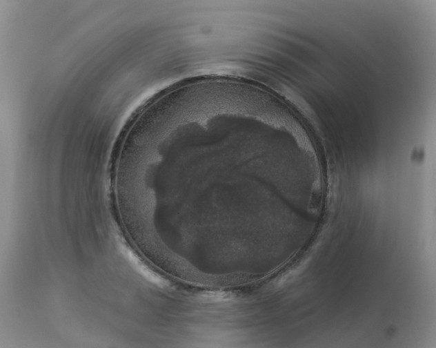 X0000113101037200909111047