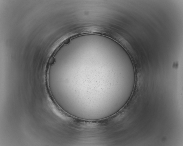 X0000113101039200909111047
