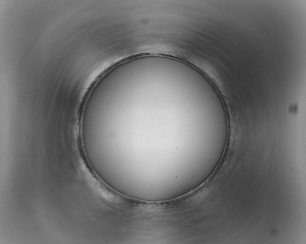 X0000113101040200909111047