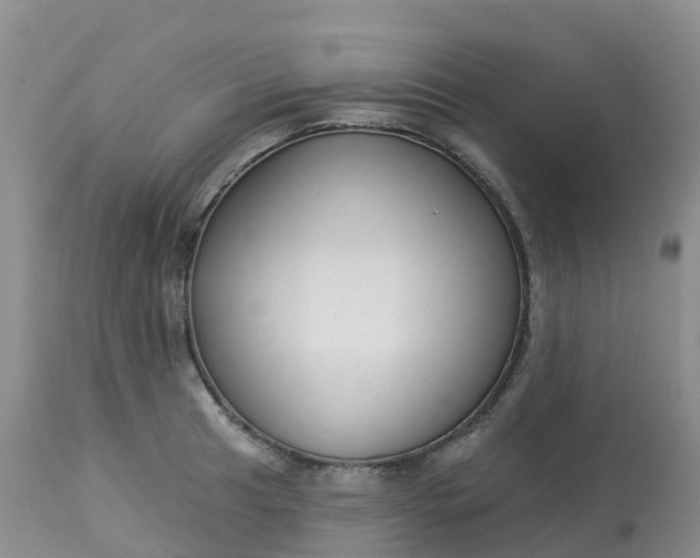 X0000113101041200909111047