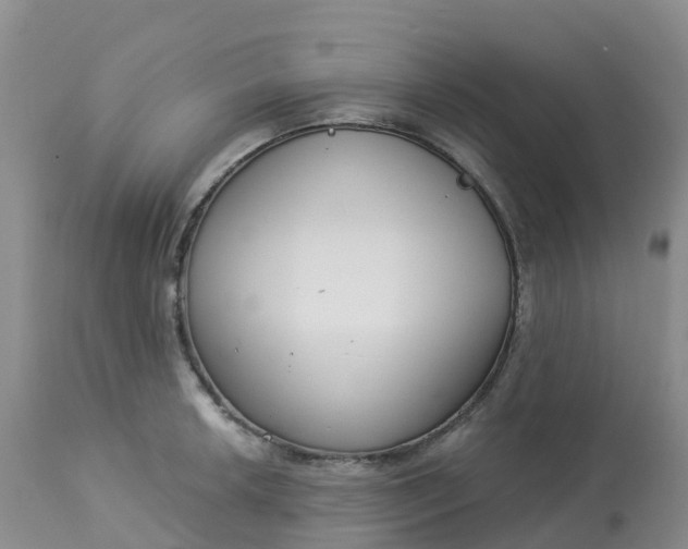 X0000113101042200909111047