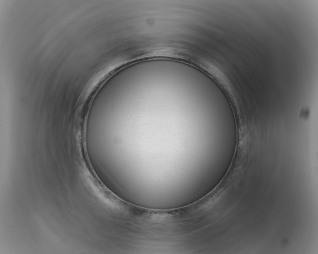 X0000113101043200909111047