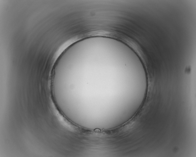 X0000113101050200909111047