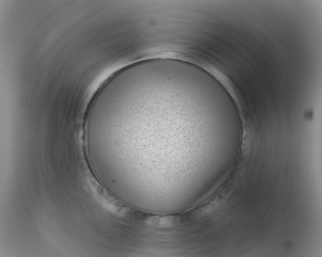 X0000113101051200909111047
