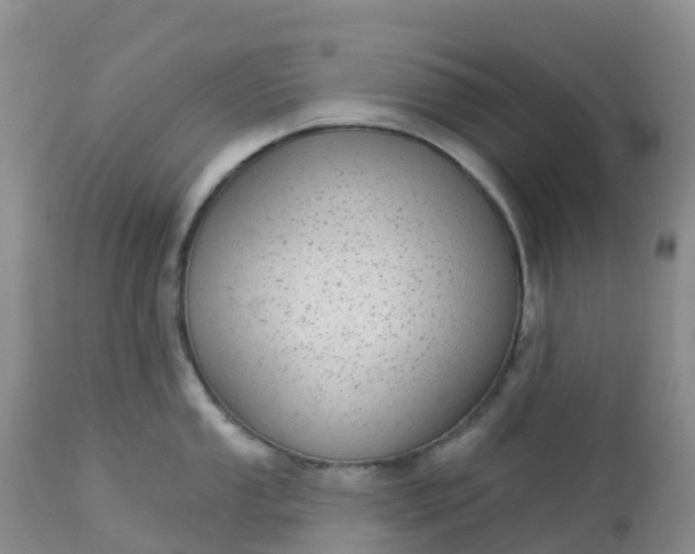 X0000113101053200909111047