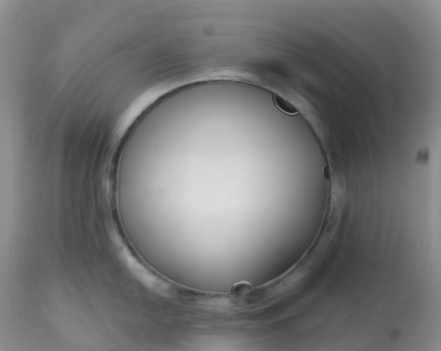 X0000113101054200909111047