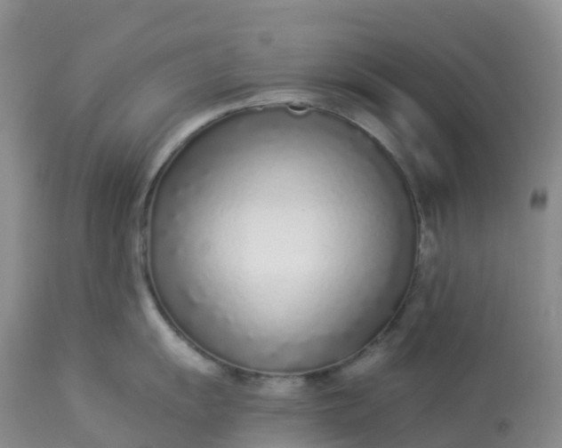 X0000113101055200909111047