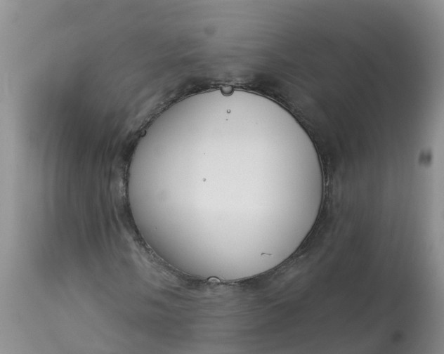 X0000113101058200909111046