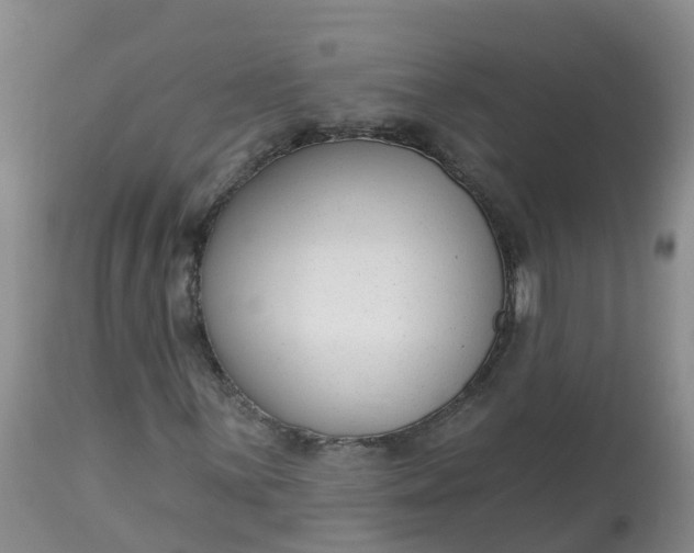 X0000113101059200909111046