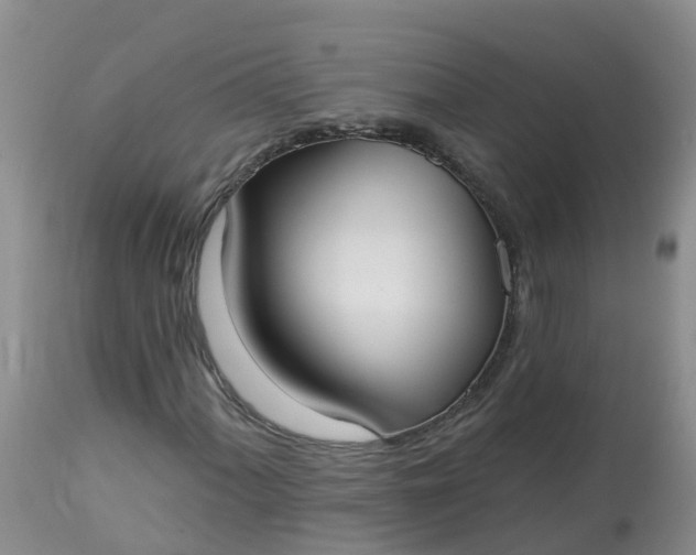 X0000113101060200909111046
