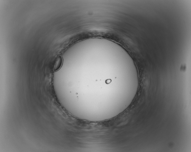 X0000113101061200909111046