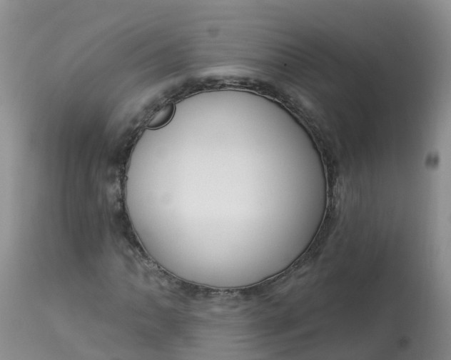 X0000113101062200909111046