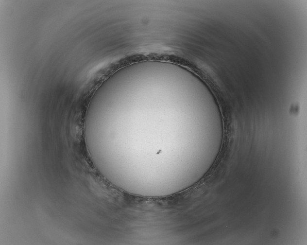 X0000113101063200909111046