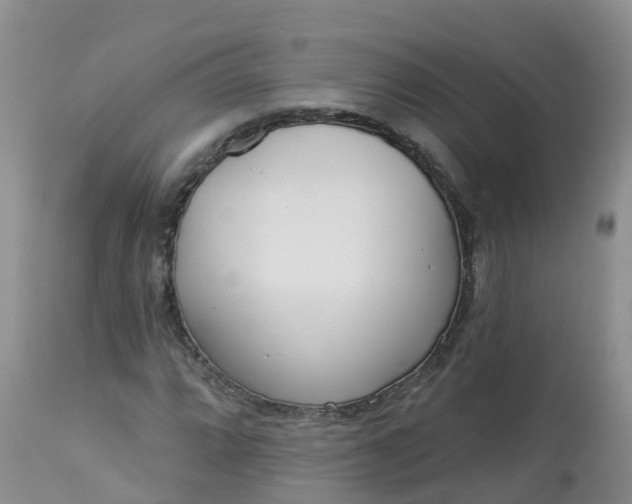 X0000113101064200909111046