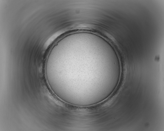X0000113101066200909111046