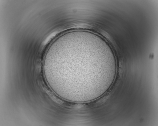 X0000113101067200909111046