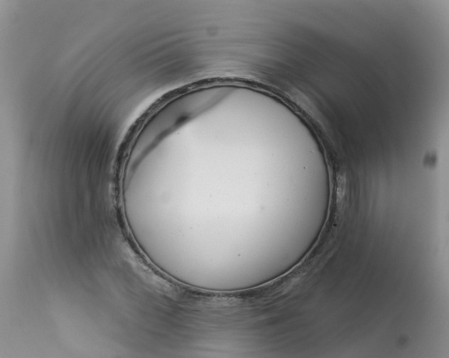 X0000113101068200909111046